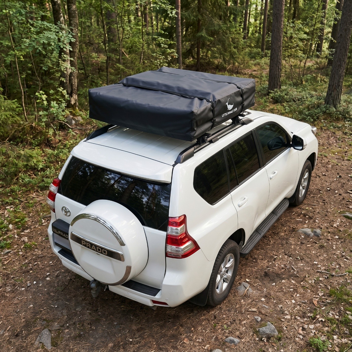 Eagle Soft Shell Extended Rooftop Tent